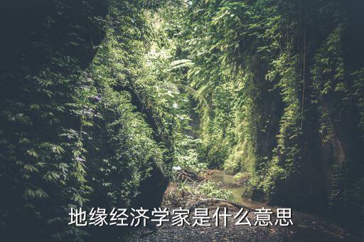 地緣經(jīng)濟學(xué)家是什么意思