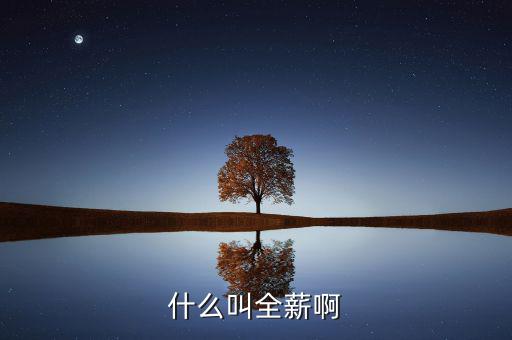 全薪是什么意思，咨詢一下全薪指的是基本工資獎(jiǎng)勵(lì)嗎