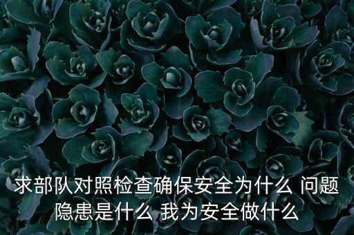 求部隊對照檢查確保安全為什么 問題隱患是什么 我為安全做什么