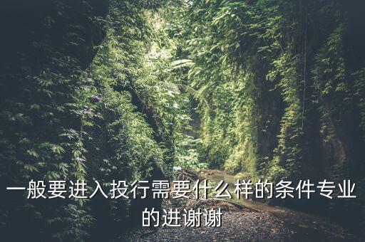 一般要進入投行需要什么樣的條件專業(yè)的進謝謝