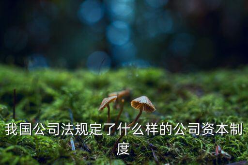 我國(guó)公司法規(guī)定了什么樣的公司資本制度