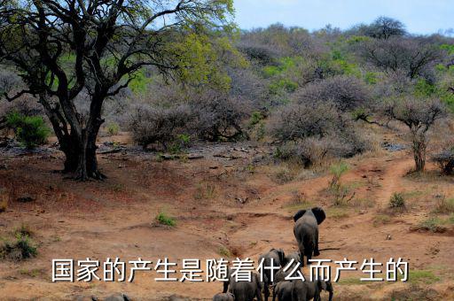 國家是怎么產(chǎn)生的,中國五帝時期是中國古代國家形成階段