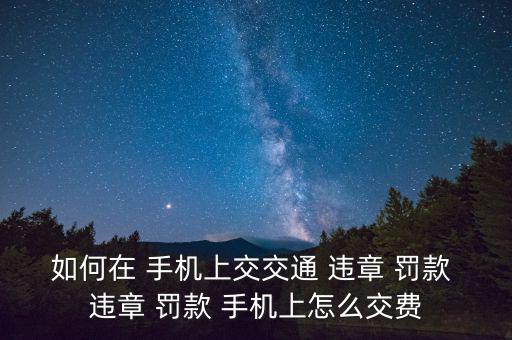 手機上怎么交違章罰款,如何在網(wǎng)上辦理違章罰款?