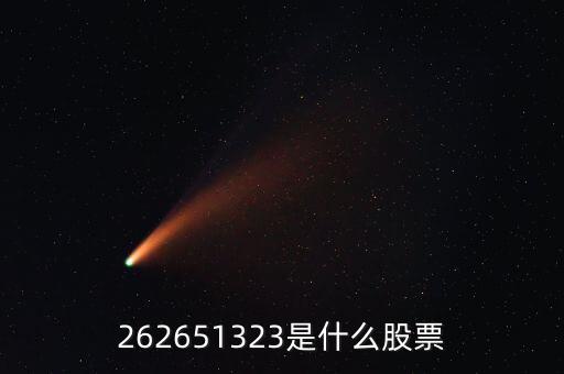 208393股票是什么，262651323是什么股票