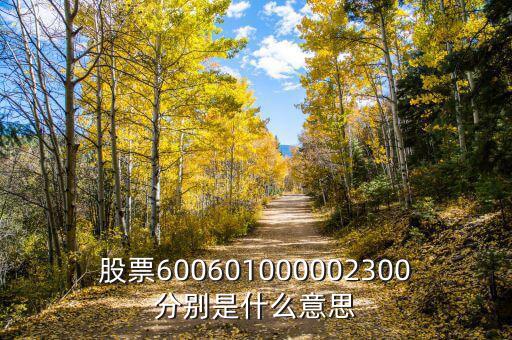 股票600601000002300分別是什么意思