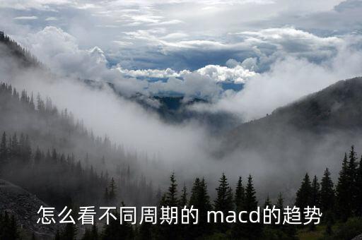 怎么看不同周期的 macd的趨勢(shì)