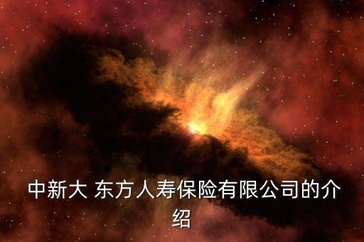  中新大 東方人壽保險(xiǎn)有限公司的介紹