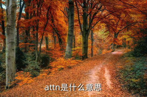 丙方是什么意思，attn是什么意思