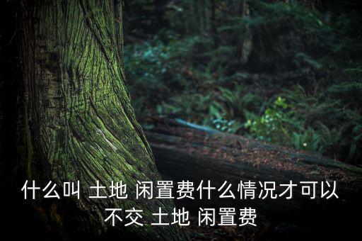 土地閑置費(fèi)怎么計算,閑置土地可向國有土地使用權(quán)充公