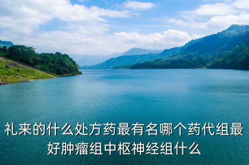 禮來的什么處方藥最有名哪個藥代組最好腫瘤組中樞神經(jīng)組什么