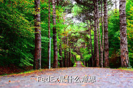 FedEx是什么意思