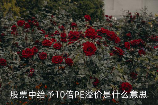 股票10倍市盈率什么意思，買10倍市盈率上下的大盤股什么意思