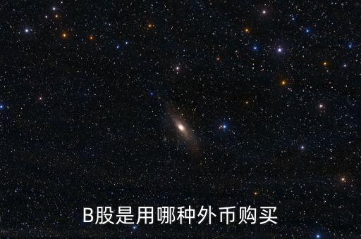 b股分紅支付什么貨幣，B股是用哪種外幣購(gòu)買(mǎi)