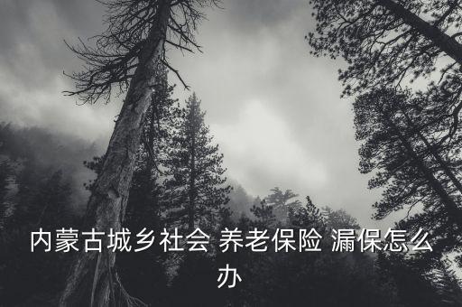 內(nèi)蒙古城鄉(xiāng)社會(huì) 養(yǎng)老保險(xiǎn) 漏保怎么辦