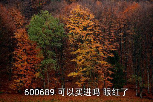 600689 可以買(mǎi)進(jìn)嗎 眼紅了