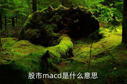 macd是什么意思，macd的含義是什么要簡單明了