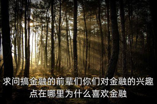 求問搞金融的前輩們你們對金融的興趣點在哪里為什么喜歡金融