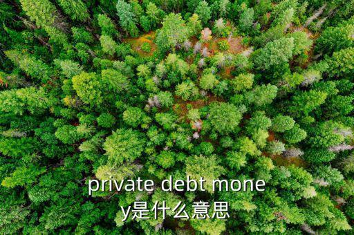 私人配售什么意思，private debt placement是什么意思啊