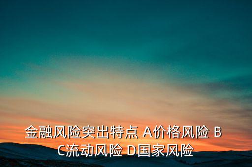 金融風(fēng)險突出特點(diǎn) A價格風(fēng)險 B C流動風(fēng)險 D國家風(fēng)險