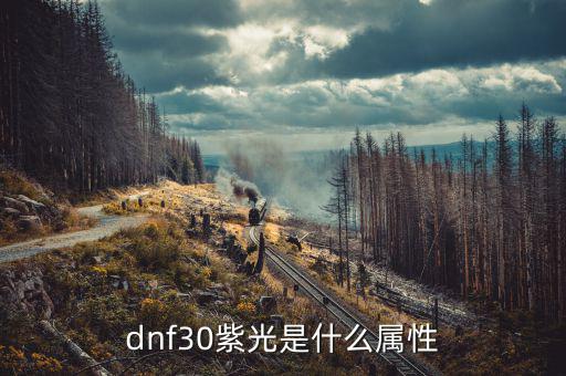 dnf30紫光是什么屬性