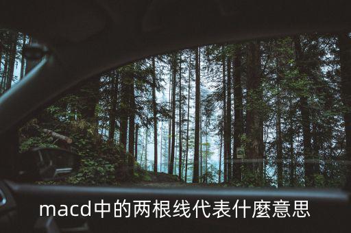 macd2條線怎么看,技術指標的含義