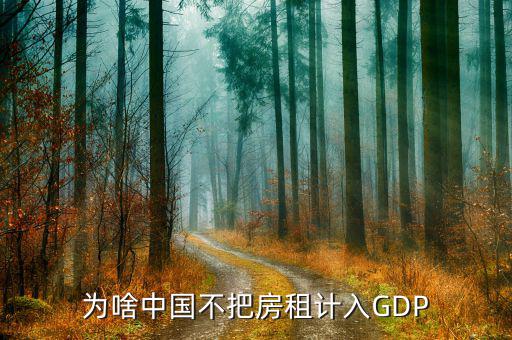 為啥中國不把房租計入GDP