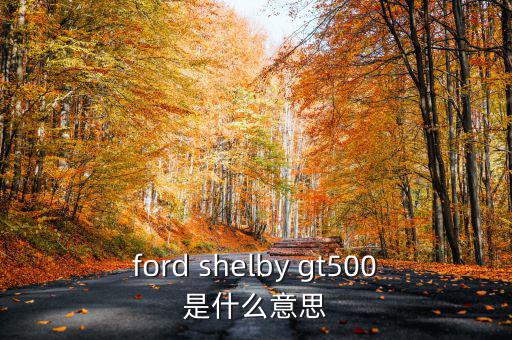 東盟油500是什么，ford shelby gt500是什么意思