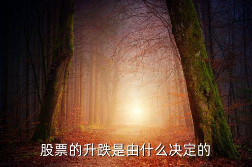 股票根據(jù)什么跌升，股票的升跌是由什么決定的