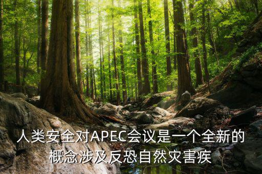 2014apec峰會簽署了什么文件，亞洲和太平洋地區(qū)經(jīng)濟(jì)合作會議簡稱 APEC