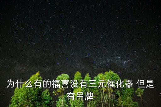 為什么有的福喜沒(méi)有三元催化器 但是有吊牌