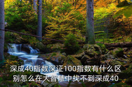 深成40指數(shù)深證100指數(shù)有什么區(qū)別怎么在大智慧中找不到深成40