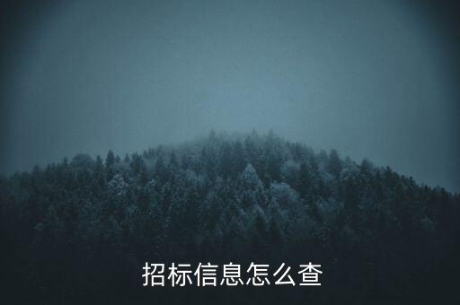  招標(biāo)信息怎么查