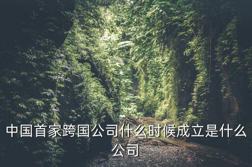 中國首家跨國公司什么時(shí)候成立是什么公司