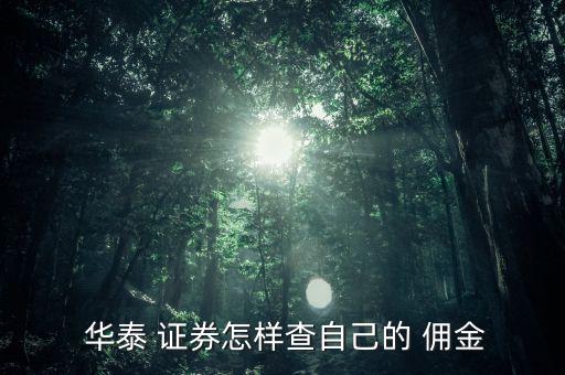  華泰 證券怎樣查自己的 傭金