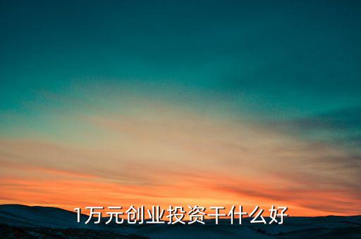 1萬(wàn)元?jiǎng)?chuàng)業(yè)投資干什么好