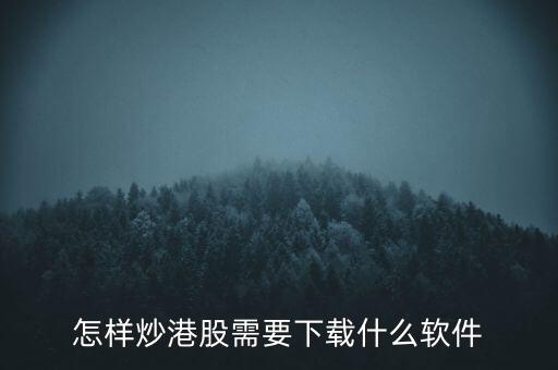 港股資金進(jìn)出用什么軟件，現(xiàn)在內(nèi)地的炒股滬港通用什么軟件