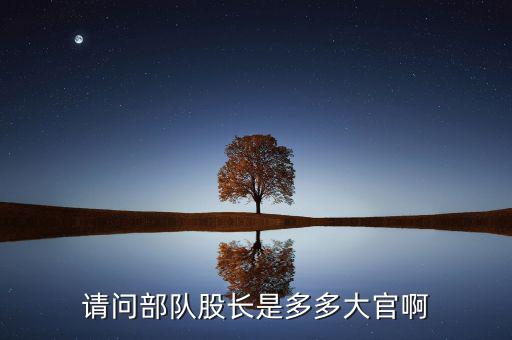 請(qǐng)問(wèn)部隊(duì)股長(zhǎng)是多多大官啊