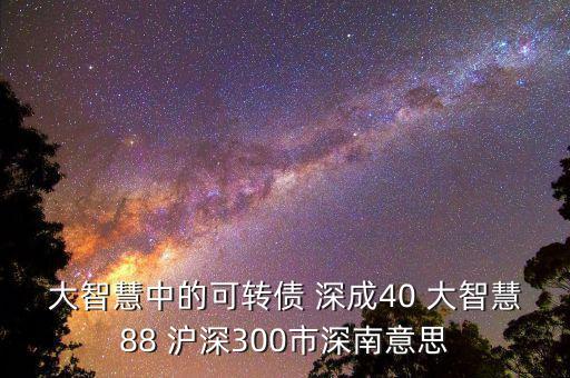 大智慧中的可轉債 深成40 大智慧88 滬深300市深南意思