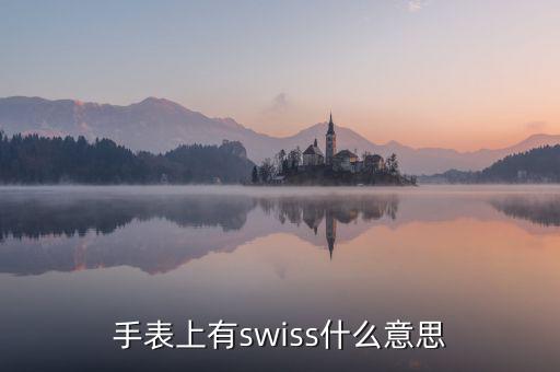 歐行手表什么意思，手表上有swiss什么意思