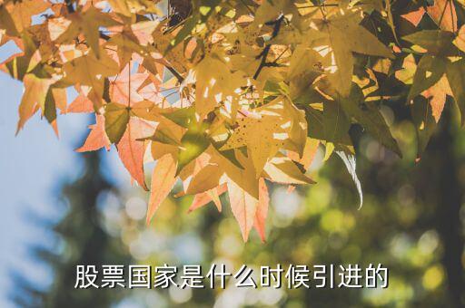 股票什么時(shí)候引進(jìn)的，股票國(guó)家是什么時(shí)候引進(jìn)的