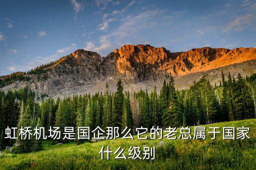 機場董事長什么級別，虹橋機場是國企那么它的老總屬于國家什么級別