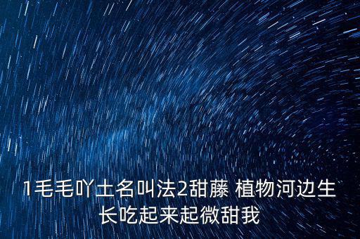 安徽有個(gè)什么林紙業(yè)，坐幾路公交車去安徽華泰林漿紙有限公司