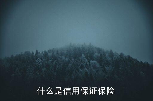 什么是信用保證保險(xiǎn)