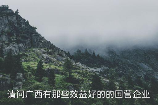 請問廣西有那些效益好的的國營企業(yè)