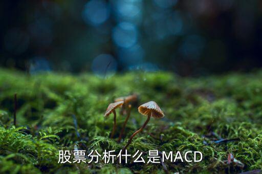 股票中macd是什么意思，股票中MACD指標是什么意思