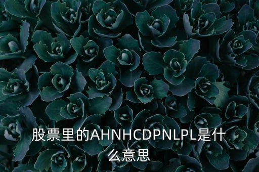 股票nl是什么意思，股票里的AHNHCDPNLPL是什么意思