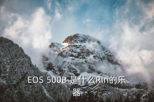 EOS 500B 是什么Rin的樂(lè)器