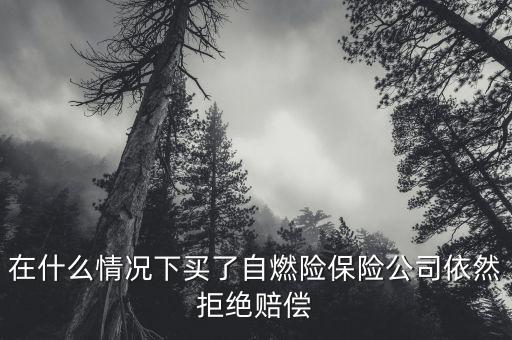 在什么情況下買了自燃險(xiǎn)保險(xiǎn)公司依然拒絕賠償