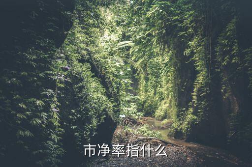 市凈率指什么