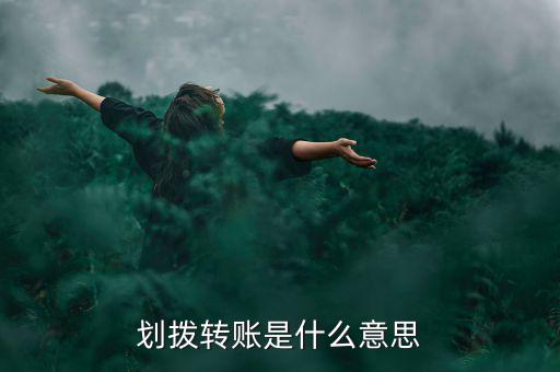 劃撥轉(zhuǎn)賬是什么意思